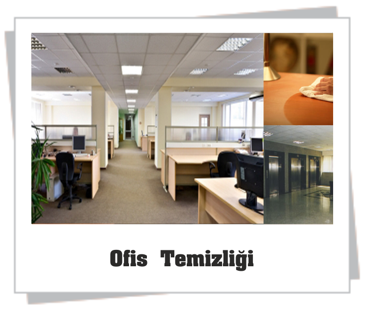 Ofis Temizliği